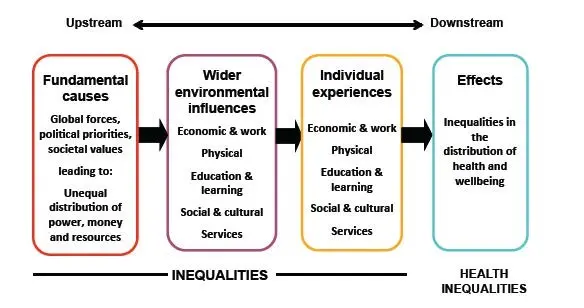 1. Fundamental causes: global forces, political priorities, societal values leading to unequal distribution of power, money and resources. 2. Wider environmental influences: economic and work, physical, education and learning, social and cultural and services. 3. Individual experiences: economic and work, physical, education and learning, social and cultural, services. 4. Effects: inequalities in the distribution of health and wellbeing